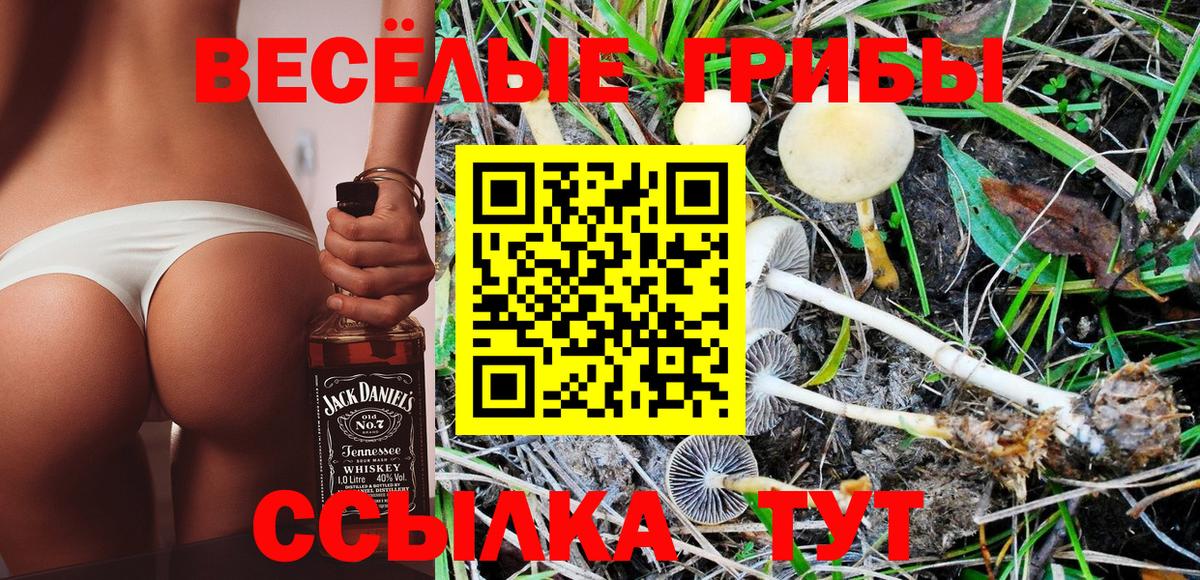 Галлюциногенные грибы MAGIC MUSHROOMS  Вход с VPN  купить   Новосибирск 